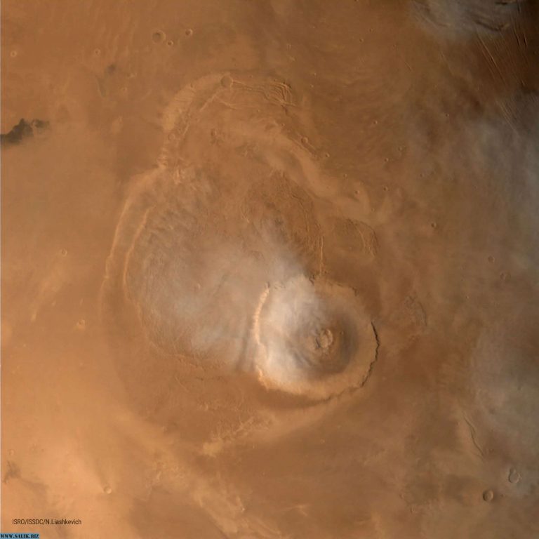 89e073a0f583fa9ca47ca87045a4fb82