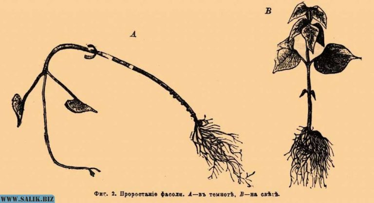 8ad92e2398f697ee8c481a701ddb95b1