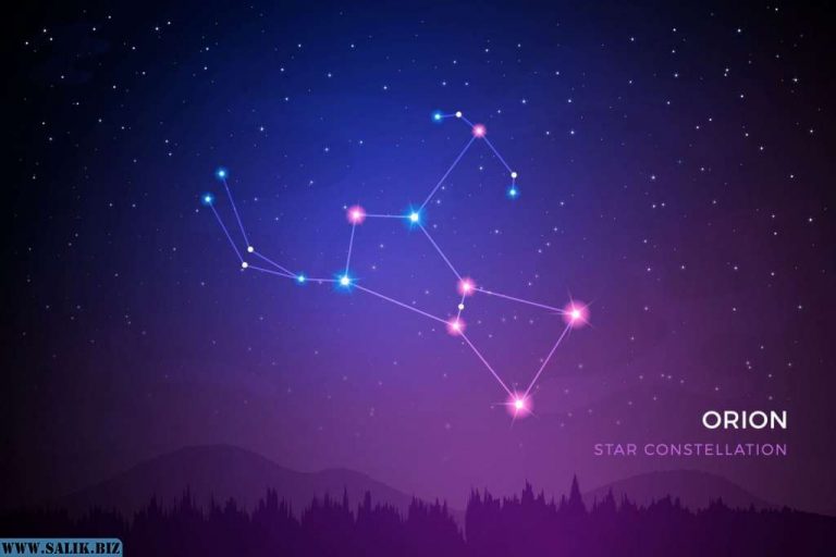 8bf921bde59d96a79e5748128c381fcd