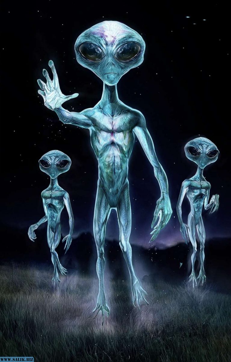 96e8e18440e46ca01724682f06991f8b