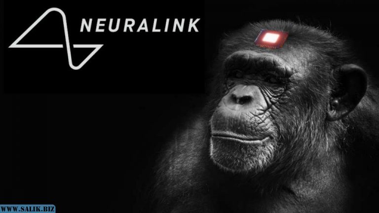 992d490eb62108af54fa9740cc629a17