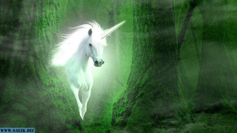 b4c9cffaeeef93b7297d5a667f928435