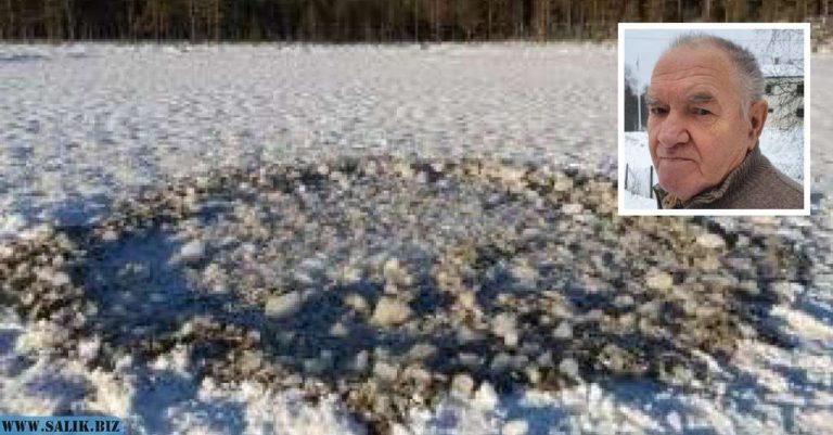 d3b814155aeda25eed670fd6fbb110c3