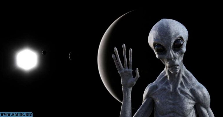 D77e4f08f051d5936e09bd28c4fde012