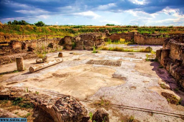 E21b7eaeec00f0abc36e7243e5f37f3b