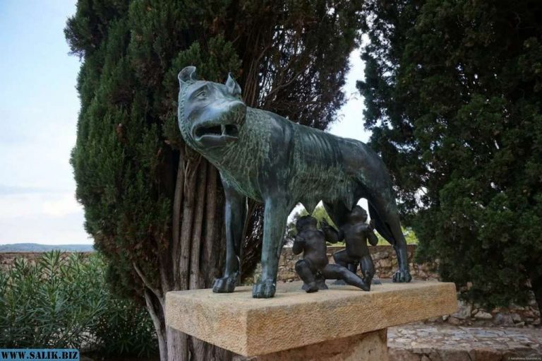 e43a3167675815cc7aecb5f0525ad9f6