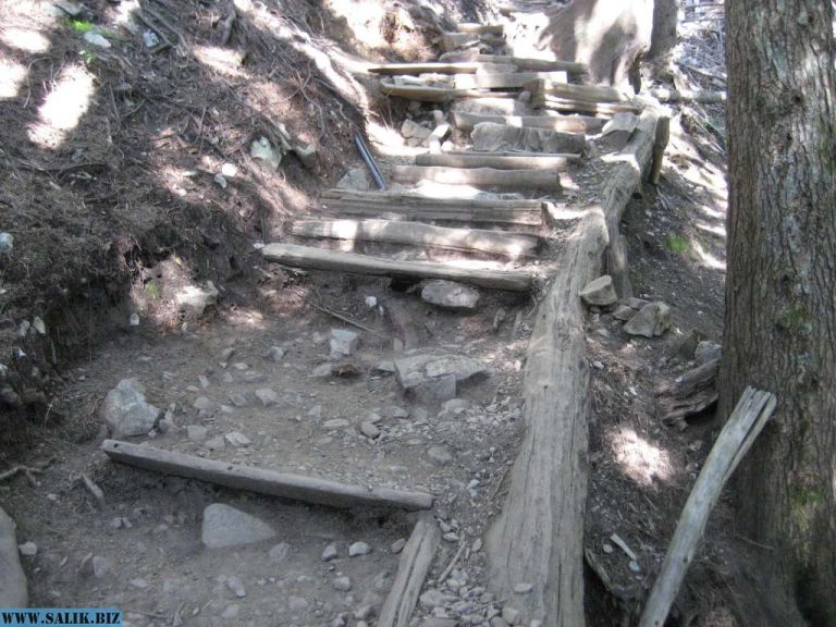 e9d1d681227e92bf1f8a6580963e50b9