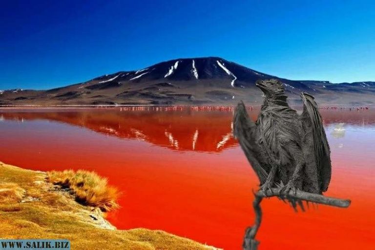 F1f3422ebbd167783215d97d30c1cb01