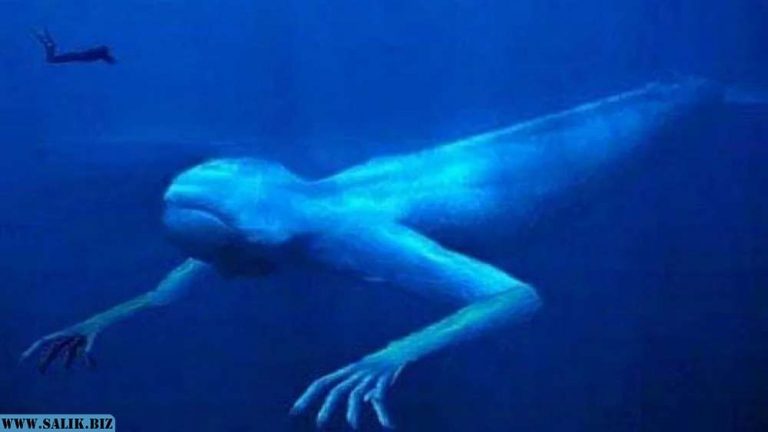 F6c7c5e7675d3991e6f6fb5d6f74a64d