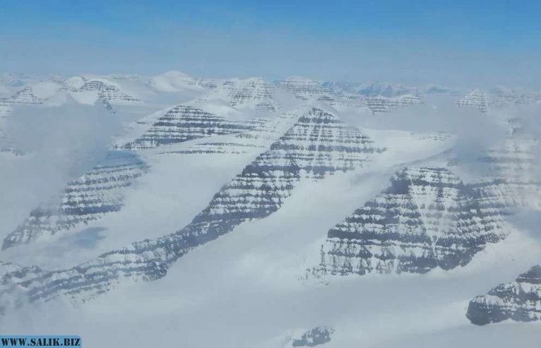 085215960117a4fb7a0e2776da61772c