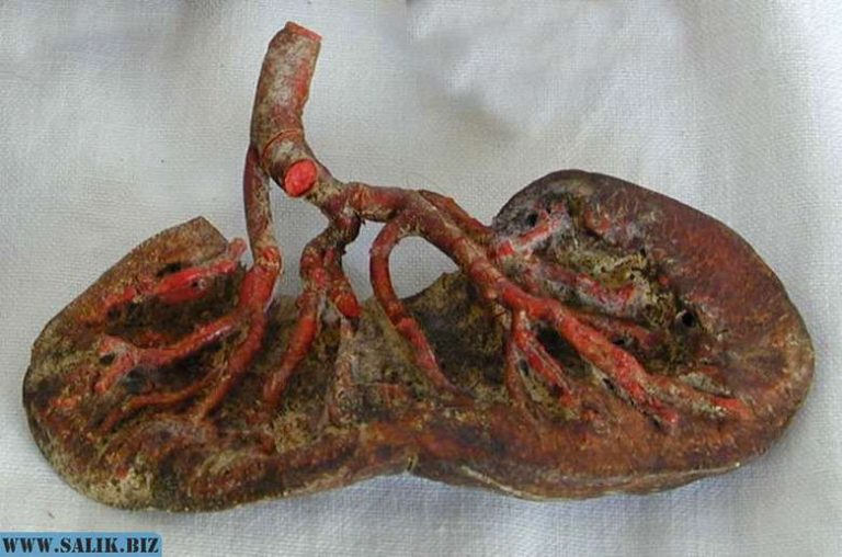 1cc29b4487f07e398034d2cb95b7d798