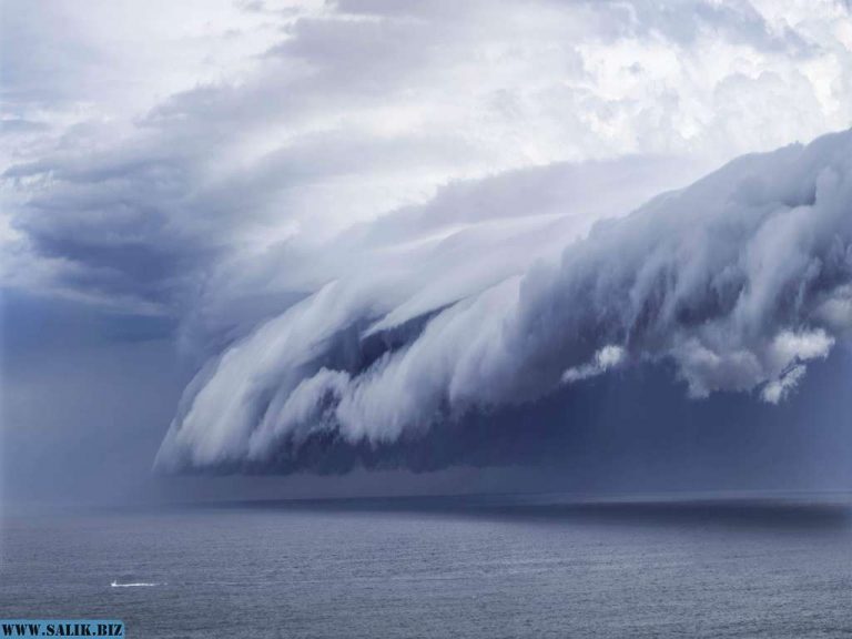 1fc9729412f3b13bc29b0d5b05fed79a