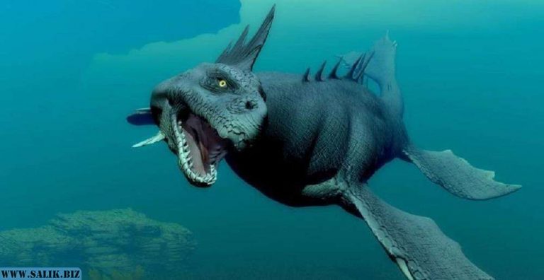 2cc5c133d5effea2b5d06a09eb5d1ab4