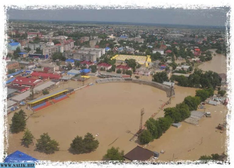 6201d46438cbe6382012dbaa821ff9d5