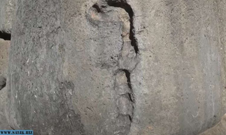 6221498eb923139c3729b07da5deec7f