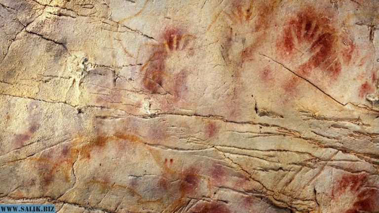 774764ebf8783800a8d14288ef742bb3