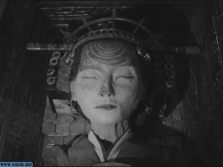 7914daa7bbdd45e5c1a1b29367ea2dc5