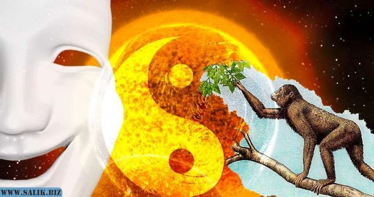 a2bebfbaa4f29fcdf01064109493df81