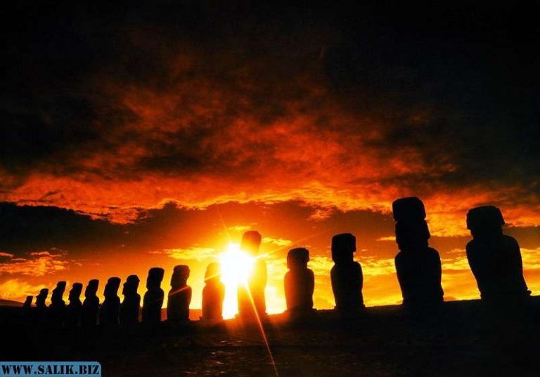 a31bb151bc23f8ce63b69a1b764e73bc