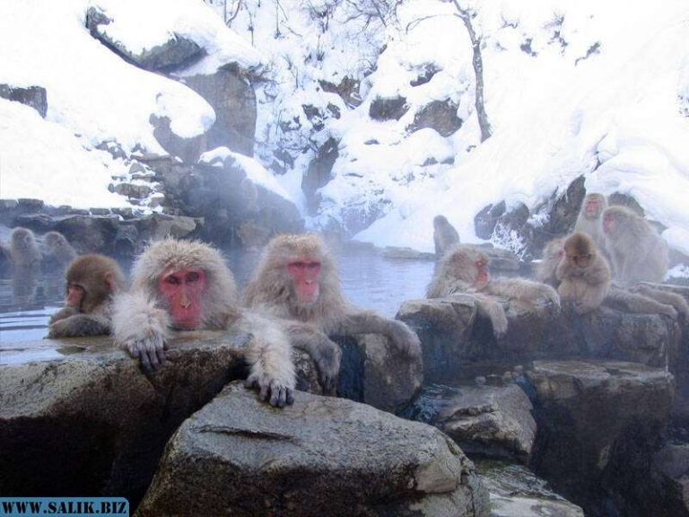 b25d84e5c953d2e59025b8be84f92c41