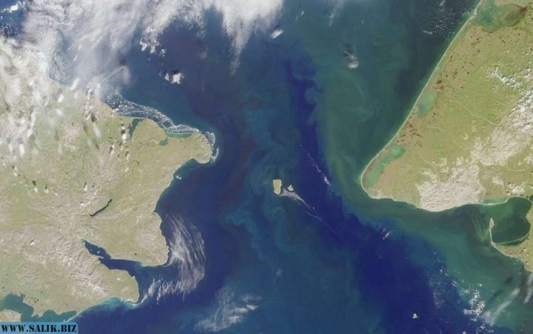 b65ae22d39ddcf7cd767873d99f101e0