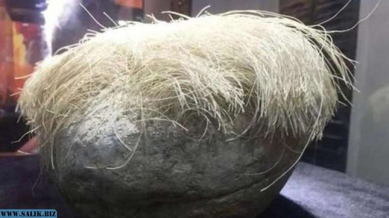 dc7dee5da771563abf2950ab67bfe0d6