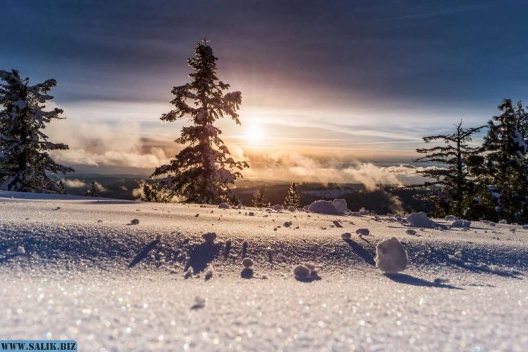 edaf213ccd1fe1bddbe816f7d8dec371