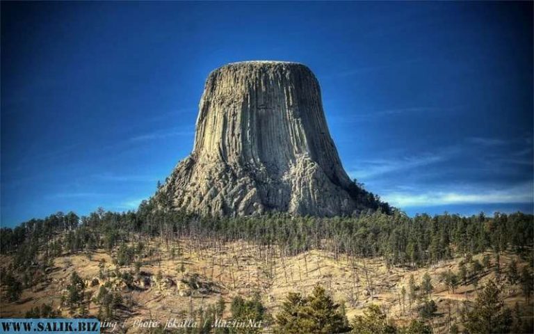 ef912848edb464c2ce3eb4b374a770f3